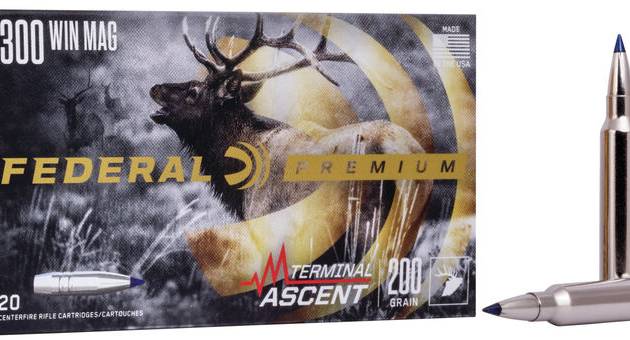 FDR 300 200GR TERM ASC 20RD