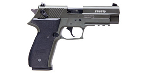 ATA GSG FIRFLY 22LR PS GRN 10R