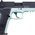 ATA GSG FRFLY 22LR PS MINT 10R
