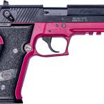 ATA GSG FIRFLY 22LR PINK 10R