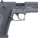 ATA GSG FIRFLY 22LR 10RD GRY