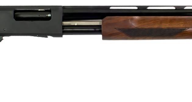 GFA GFP3 PUMP 12M/28B WOOD