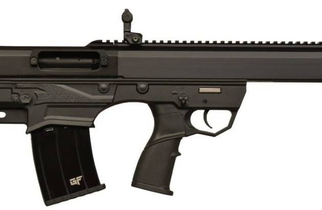 GFORCE ARMS GFYP 12/18.5 BLACK 5+1
