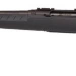 SAVAGE ARMS AXIS 2 CPT 300BLK BL/GRY LH #