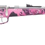 HENRY REPEATING ARMS H5 MINI BOLT G2 22LR SS/MUDDY
