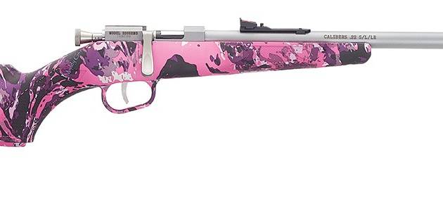 HENRY REPEATING ARMS H5 MINI BOLT G2 22LR SS/MUDDY