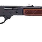 Henry Repeating Arms H10 Provider .45-70 Government rifle with 20-inch blued barrel and walnut stock