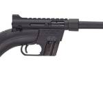 HENRY REPEATING ARMS H2 US SURVIVAL RIFLE 22LR BLK