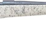 LEG HOWA CRBN STLKR2 308 22B