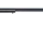 HERITAGE MANUFACTURING RR 22LR BLUE 16" 6RD AS