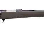 HOWA HOGUE 308WIN BLK 22" TB