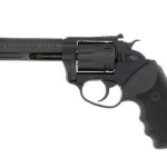 CHARTER TRGT PATHFNDR 22LR 4.2" 8RD