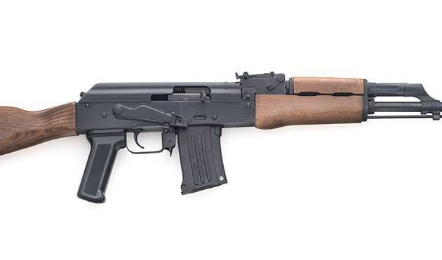 Chiappa RAK22­ Rifle .22 LR 10rd Magazines(2) 17.25" Blued Barrel Matte Black Finish Wood Stock