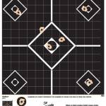 Champion VisiShot Targets Sight-In Target - 13" X 18" 10/Pack