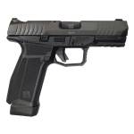 Arex Delta Gen 2 X OR Handgun 9mm Luger 17(1)&19(1)rd Magazines 4" Barrel Black