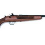 CHIPMUNK 22 LR DELUXE WALNUT BLUED