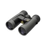 Leupold BX-2 Alpine HD Binocular 10x42mm Roof Prism - Shadow Gray