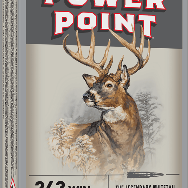 WINCHESTER SUPER X POWER POINT 243WIN 100GR 20RD BX 200RD CASE