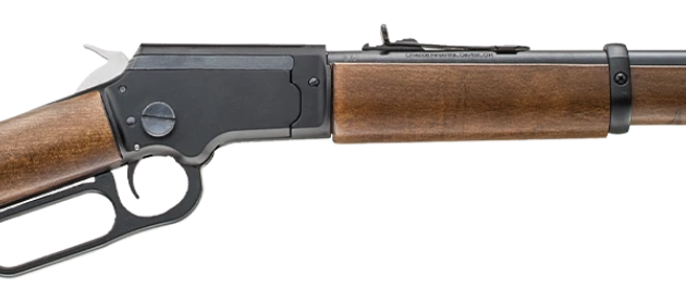 CHIAPPA LA322 BANDIT TAKEDOWN 22LR RIFLE WOOD STOCK 12" BARREL PISTOL GRIP/WOOD STOCK