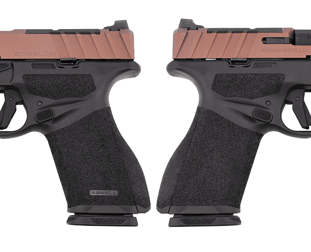 Springfield Armory Echelon Alpha 4.0C 9mm RAD Chameleon pistol