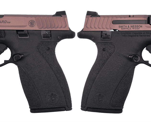 SMITH & WESSON BODYGUARD 2.0 MS RAD CHAMELION 380ACP 2.75" 1-10RD 1-12RD