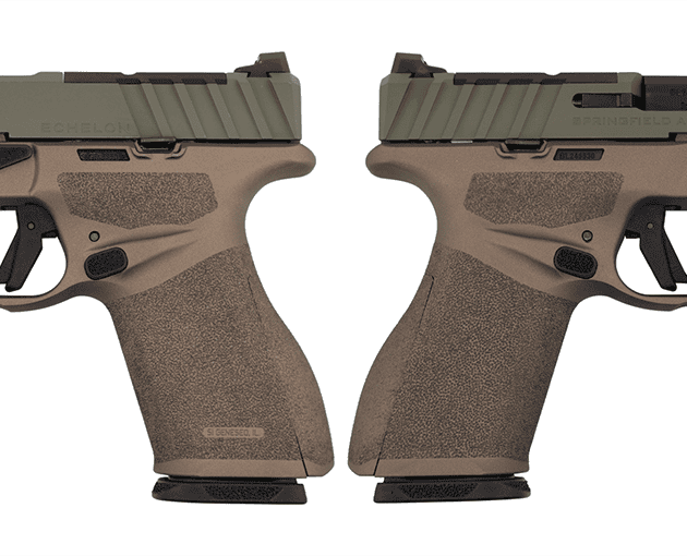 SPRINGFIELD ARMORY ECHELON ALPHA 4.0C BADLANDS 9MM PISTOL U DOT 1-15RD MAG
