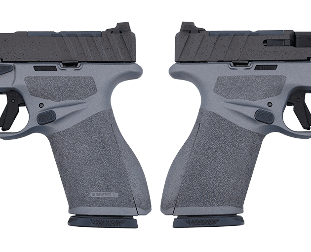 Springfield Armory Echelon Alpha Iron Tide 4.0C 9mm pistol in Navy and Stone