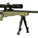 KEYSTONE SPORTING ARMS CRICKETT CPR 22MAG BL/TAN PKG