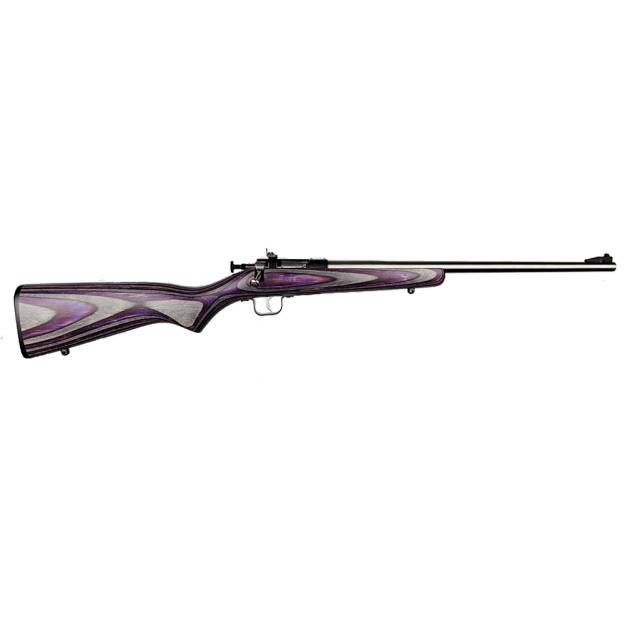 KEYSTONE SPORTING ARMS CRICKETT 22LR SS/PURPLE LAM
