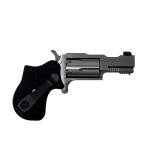 NORTH AMERICAN ARMS 22MAG 1-5/8" RULE 1 SS XS SGHT