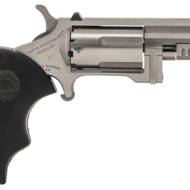 NORTH AMERICAN ARMS RECLUSE 22MAG 2" SS XS