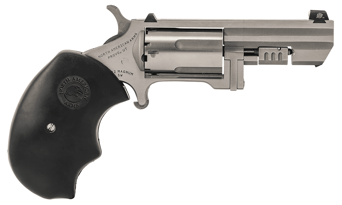 NORTH AMERICAN ARMS RECLUSE 22MAG 2" SS XS