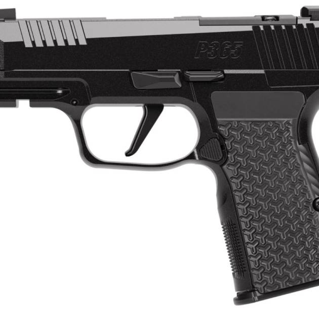 Sig Sauer P365 AXG LUXE .380 ACP pistol with 3.1-inch barrel and black Cerakote finish