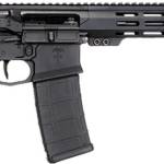 CAI US PALM STORM CAT4 5.56 30