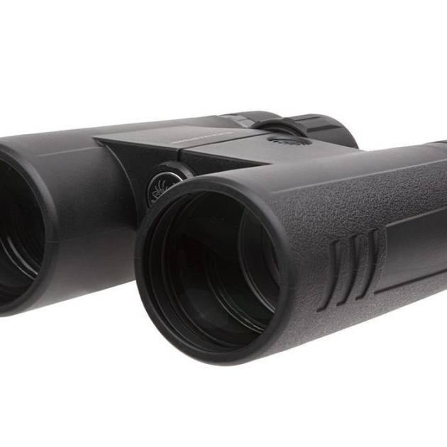 SIG SAUER BUCKMASTERS BINO 10X42 BLK