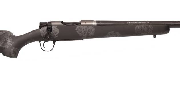 CHRISTENSEN ARMS RIDGELINE FFT 270WSM CB/GY 20"