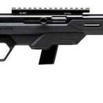 SAVAGE ARMS 64 PRECISION 22LR BL/BK 10+1