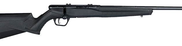 SAVAGE ARMS B17 COMPACT 17HMR BL/SYN 18"