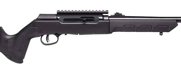 SAVAGE ARMS A22 TAKEDOWN 22LR BL/SY 10+1
