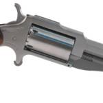 NORTH AMERICAN ARMS THE EARL 22LR/22MAG 3" SS 5SH